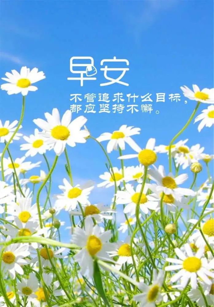 最新早安心语，开启美好一天的详细步骤与心灵寄语