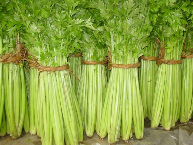 芹菜价格最新行情及分析