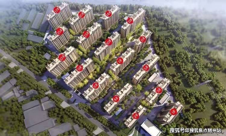 窦华港最新动态与综合指南