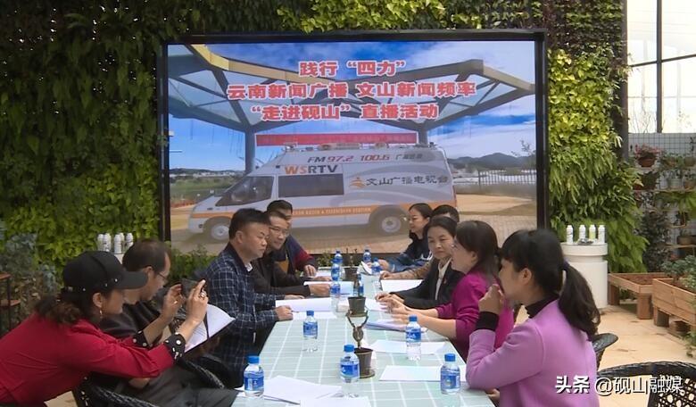 砚山县委常委最新名单揭秘，探寻小巷中的独特风味