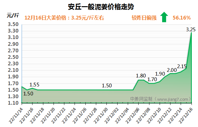 安丘大姜最新价格行情，变化中的机遇与自信的力量解析